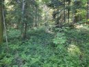 Hors sentier